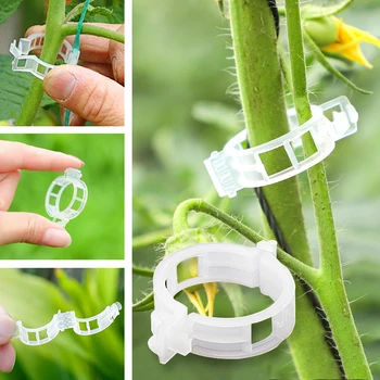 Plastové Strojov Klipy Podporuje Spája Ochranu Vrúbľovanie Stanovenie Nástroj Záhradníctvo Dodávky pre Rastlinné Paradajka опора для растений