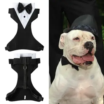 Uzáver Pásky Kontrast Farieb Mimo Trakciu Formálne Psa Svadobné Oblečenie Pet Svadobný Oblek pre Malé a Stredné Psy